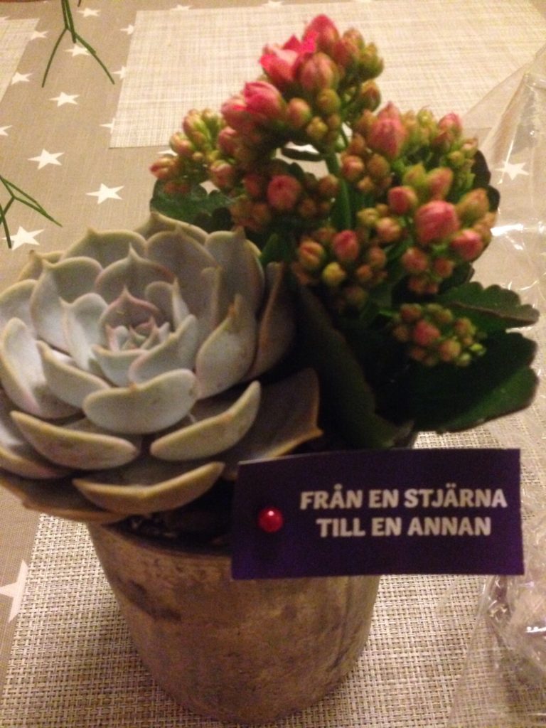 IMG 3479 - Fin blomma!