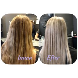 IMG 0666 - Olaplex!