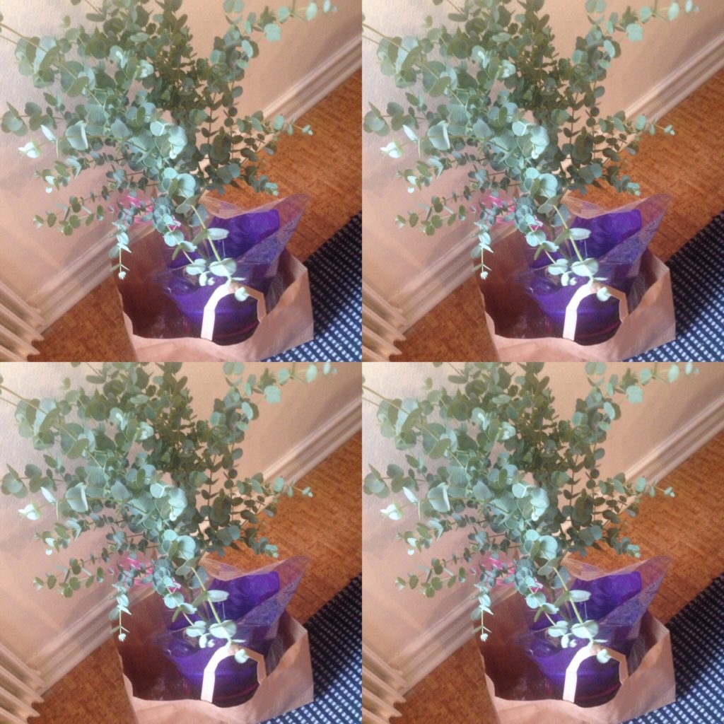 5a558953 676c 4e5e 910b 2ca8419e0300 - Tack snälla Jessica för fin blomma o att vi firar otroliga 25 år som kund och frisör :) 