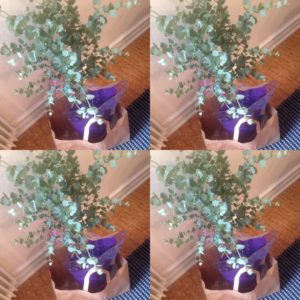 5a558953 676c 4e5e 910b 2ca8419e0300 - Tack snälla Jessica för fin blomma o att vi firar otroliga 25 år som kund och frisör :) 